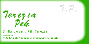 terezia pek business card